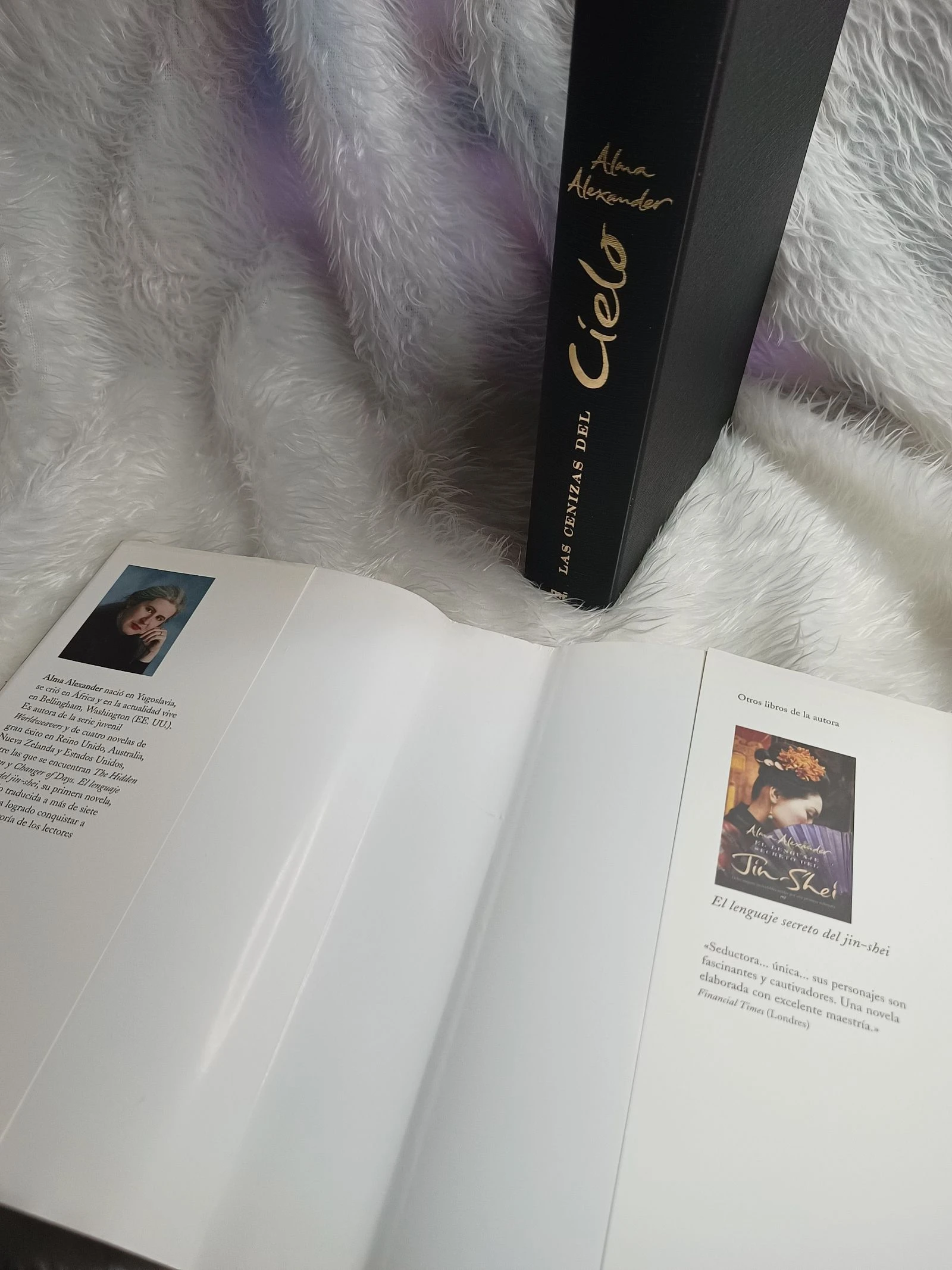 Boek De As van de Hemel – photo 12